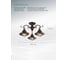 Потолочный светильник Arte Lamp A4577PL-3CK 3