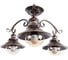 Потолочный светильник Arte Lamp A4577PL-3CK 1