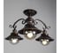 Потолочный светильник Arte Lamp A4577PL-3CK 6