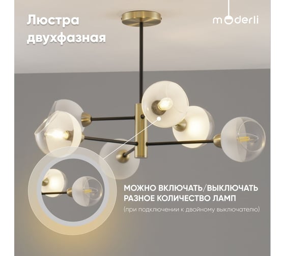 Люстра подвесная Moderli Mist черный, золотой V10812-6P