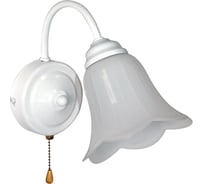 Светильник настенный ЭЛЕТЕХ Джина 511 бел. (плафон П0471) НББ 01-60-148 Е27 1005404998