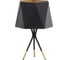 Настольная лампа TOPLIGHT Aileen TL1623T-01BG 1