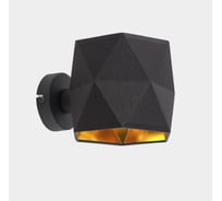 Светильник настенный TOPLIGHT Aileen TL1623W-01BG