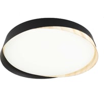 Светильник потолочный светодиодный с пультом Citilux BONNY LED RGB Черный+Клён CL754351G