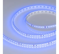 Светодиодная лента Arlight RT-A120-8mm 24V Blue 5м 008783(3)