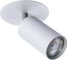 Потолочный светильник Arte Lamp A3214PL-1GY 1