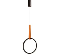 Подвесной светильник De Markt Ральф 675015901