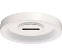 Потолочный светильник De City Мадлен 424014201