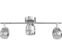 Потолочный светильник Arte Lamp A6701PL-3CC