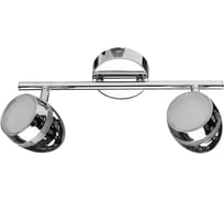 Потолочный светильник Arte Lamp A6701PL-2CC