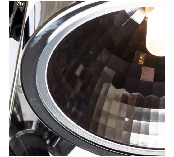 Потолочный светильник Arte Lamp A4506PL-2CC