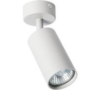 Потолочный светильник Arte Lamp A3216PL-1GY