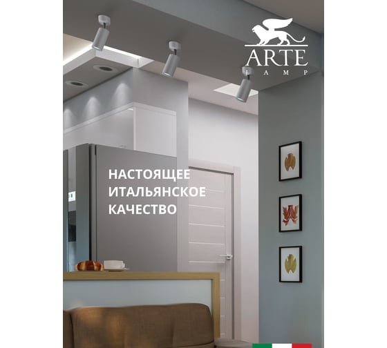 Потолочный светильник Arte Lamp A3216PL-1GY