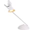 Настольный светильник Arte Lamp PICCHIO A9229LT-1WH 1
