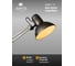 Настольный светильник Arte Lamp SENIOR A6068LT-1SS 4