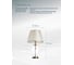 Настольный светильник Arte Lamp Baymont A5017LT-1PB 9