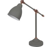 Настольный светильник Arte Lamp BRACCIO A2054LT-1GY