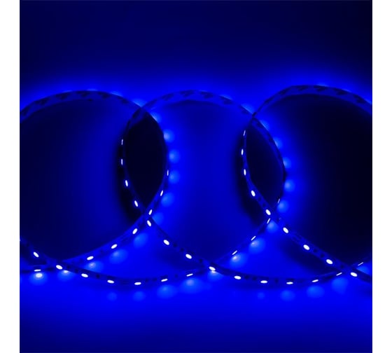 Лента светодиодная General Lighting Systems GLS-5050-60-14.4-12-IP20-B, 5 метров, 14,4Вт/м, 12В, SMD5050, 10мм, 60 диодов/м, 12 Лм/чип, IP20, цвет синий 502610