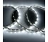 Лента светодиодная General Lighting Systems GLS-5050-60-14.4-12-IP20-PROL-6, 5 метров, 14,4Вт/м, 12В, SMD5050, 5мм, 60диодов/м, 22Лм/чип, IP20, 6500К - холодный белый, 503430 2