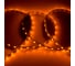 Лента светодиодная General Lighting Systems GLS-5050-60-14.4-12-IP20-R, 5 метров, 14,4Вт/м, 12В,SMD5050, 10мм, 60диодов/м, 12Лм/чип, IP20, цвет красный, 502210 2
