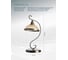 Настольный светильник Arte Lamp SAFARI A6905LT-1AB 3