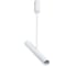 Потолочный светильник Arte Lamp A2509PL-1WH 1