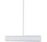 Потолочный светильник Arte Lamp A2509PL-1WH 5