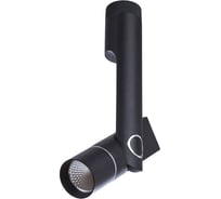 Потолочный светильник Arte Lamp A2514PL-1BK