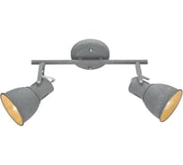 Потолочный светильник Arte Lamp A1677PL-2GY