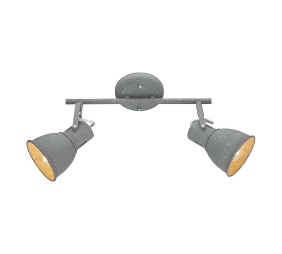 Потолочный светильник Arte Lamp A1677PL-2GY