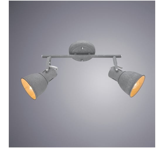 Потолочный светильник Arte Lamp A1677PL-2GY