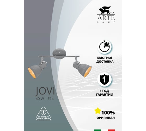 Потолочный светильник Arte Lamp A1677PL-2GY