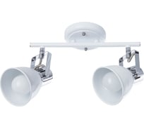 Потолочный светильник Arte Lamp A1677PL-2WH