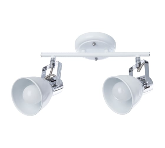 Потолочный светильник Arte Lamp A1677PL-2WH