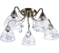 Потолочный светильник Arte Lamp A1658PL-5AB