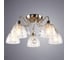 Потолочный светильник Arte Lamp A1658PL-5AB 2
