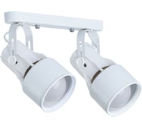 Потолочный светильник Arte Lamp A6252PL-2WH