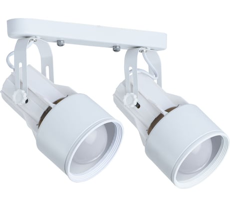 Потолочный светильник Arte Lamp A6252PL-2WH