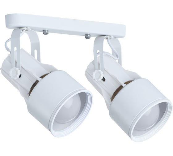 Потолочный светильник Arte Lamp A6252PL-2WH