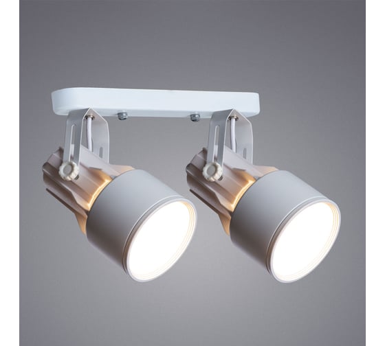 Потолочный светильник Arte Lamp A6252PL-2WH