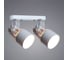 Потолочный светильник Arte Lamp A6252PL-2WH 2