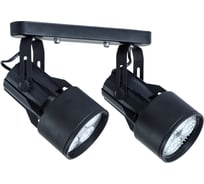 Потолочный светильник Arte Lamp A6252PL-2BK