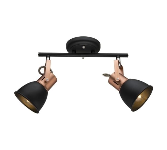 Потолочный светильник Arte Lamp A1677PL-2BK