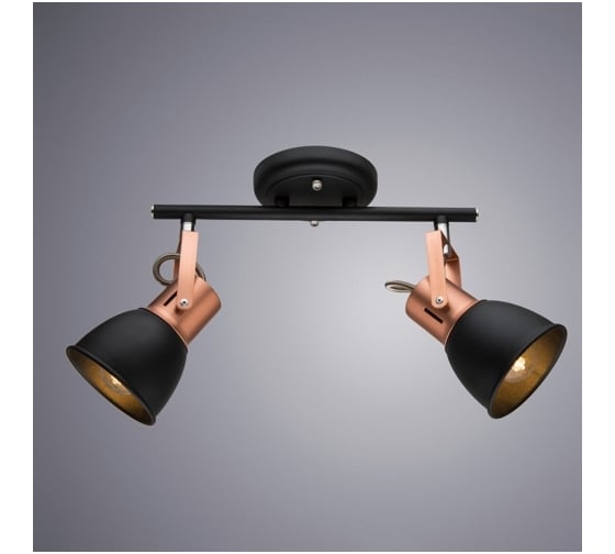 Потолочный светильник Arte Lamp A1677PL-2BK