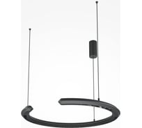 Подвесной светильник MAYTONI Motion Алюминий Черный MOD276PL-L20B3K