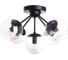 Потолочный светильник Arte Lamp A1664PL-5BK 1