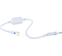 Шнур питания с вилкой для светодиодной ленты General Lighting Systems 120 диодов/м 220В 1500Вт IP67 G-3528-P-IP67 521211