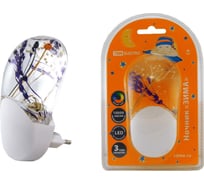 Ночник Зима TDM ELECTRIC с датчиком света, светодиодный, 1Вт, 220 ВSQ0357-0004