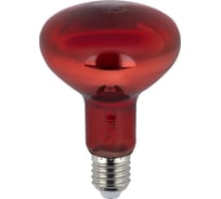 Инфракрасная лампа ЭРА ИКЗК 230100 R95 E27 для обогрева животных и освещения 100 Вт Б0064638