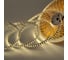Светодиодная лента General Lighting Systems 20 м, 9,6Вт/м, 24В, SMD2835, IP20, 4500К, нейтральный белый GLS-2835-120-9.6-24-IP20-ST-PRM-4 502151 1